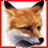 Fox Manager Pro