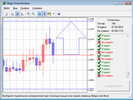 Magic Forex Intuition